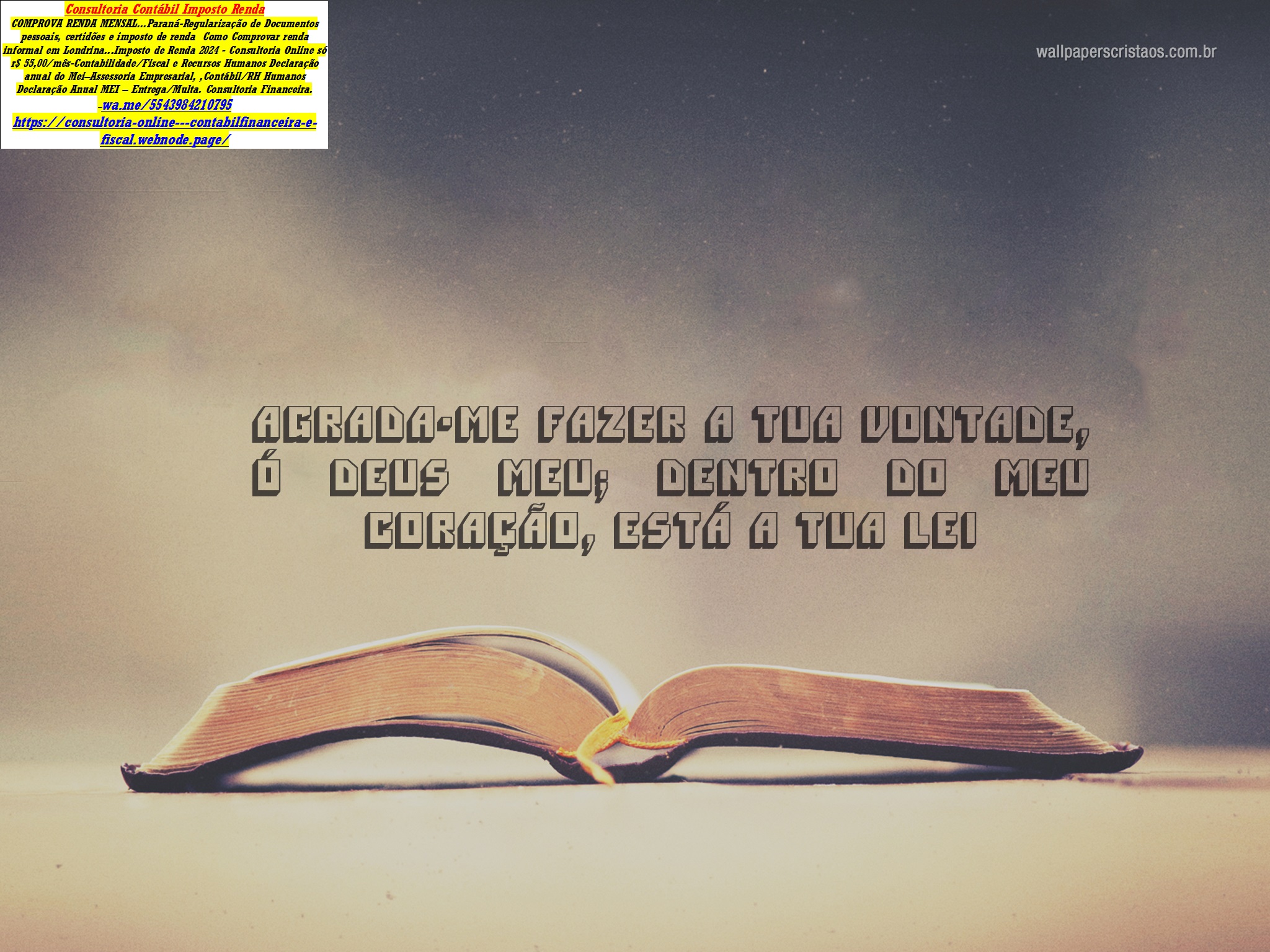 Auditoria Preventiva e Investigativa Empresarial Assessoria, Consultoria, Contábil Empresarial