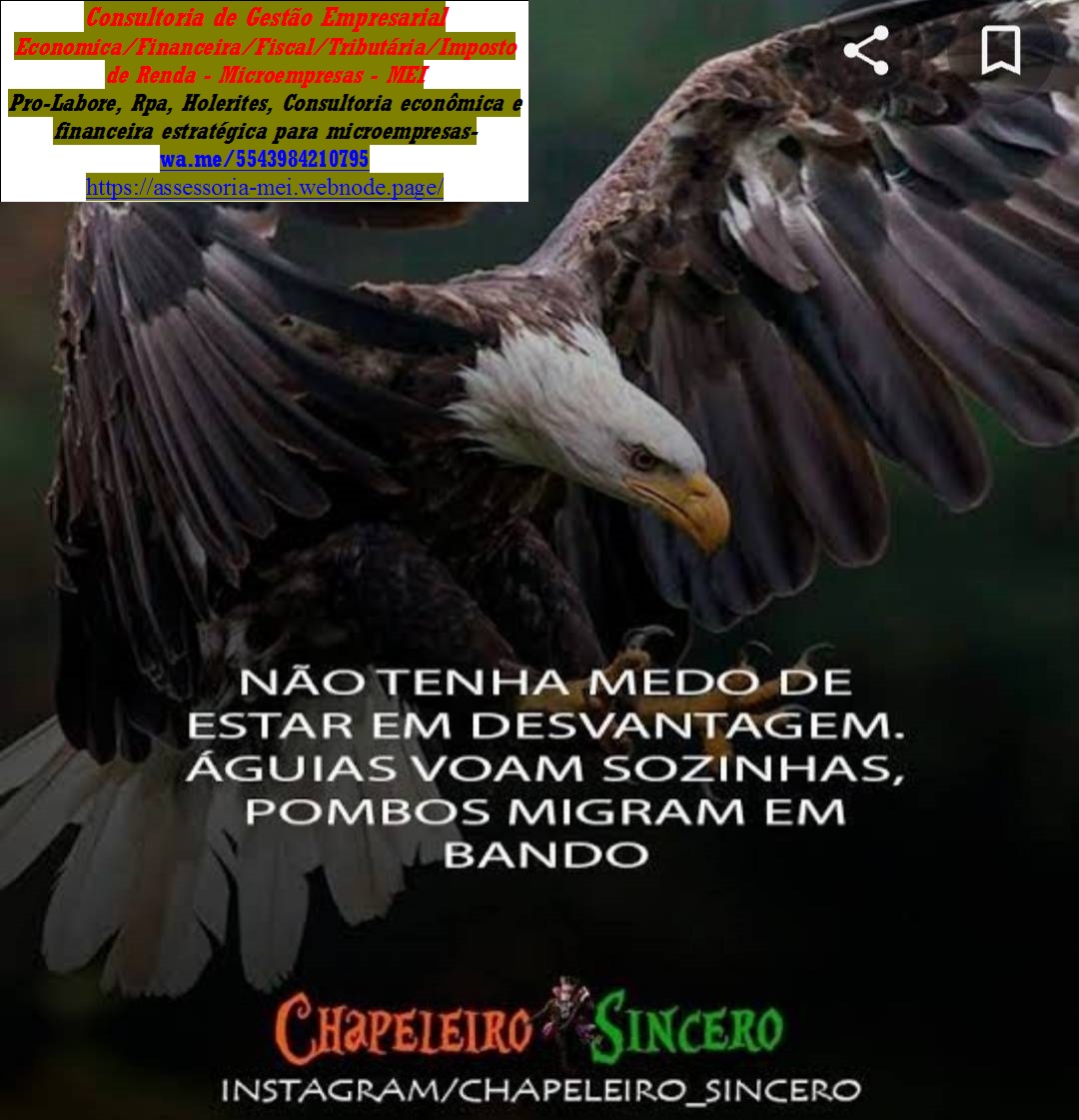 Especialista em Controle de Estoques Consultoria MEI/ME e Imposto de Renda Online